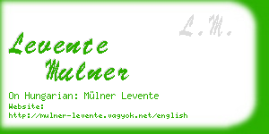 levente mulner business card